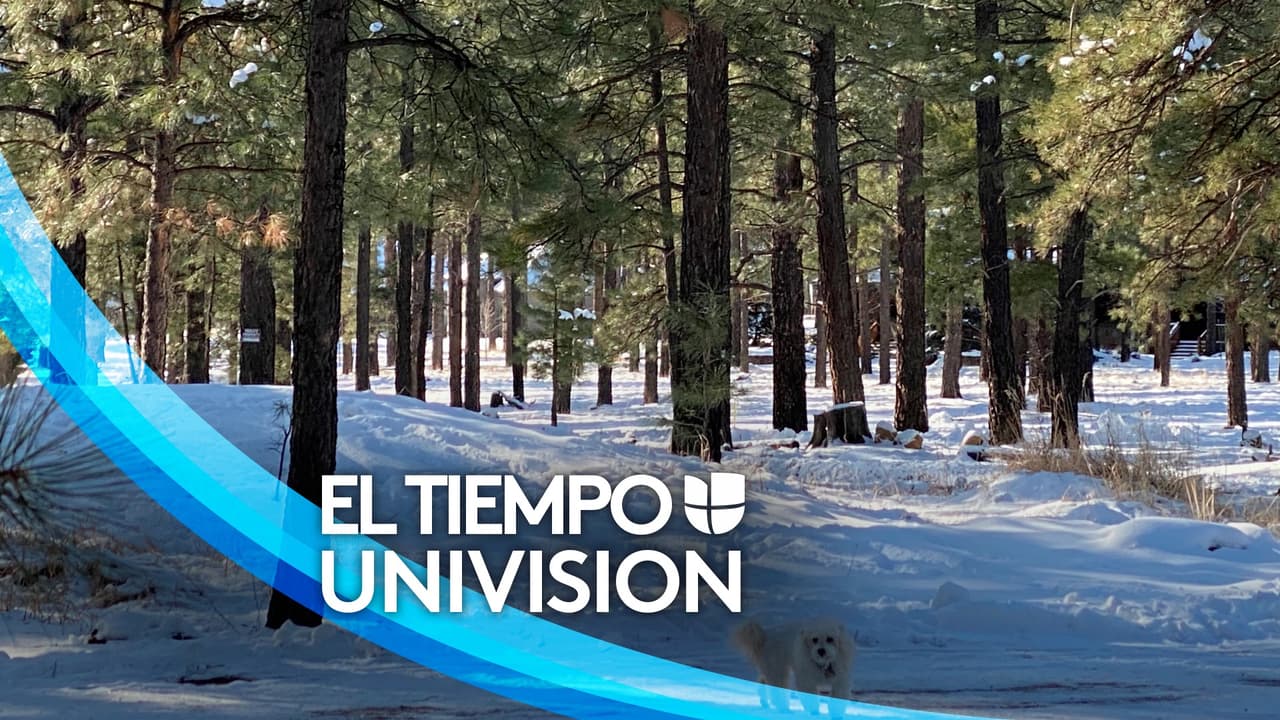 Alerta de heladas en Arizona, la temperatura máxima esta mañana al sur del estado alcanza los 27°F