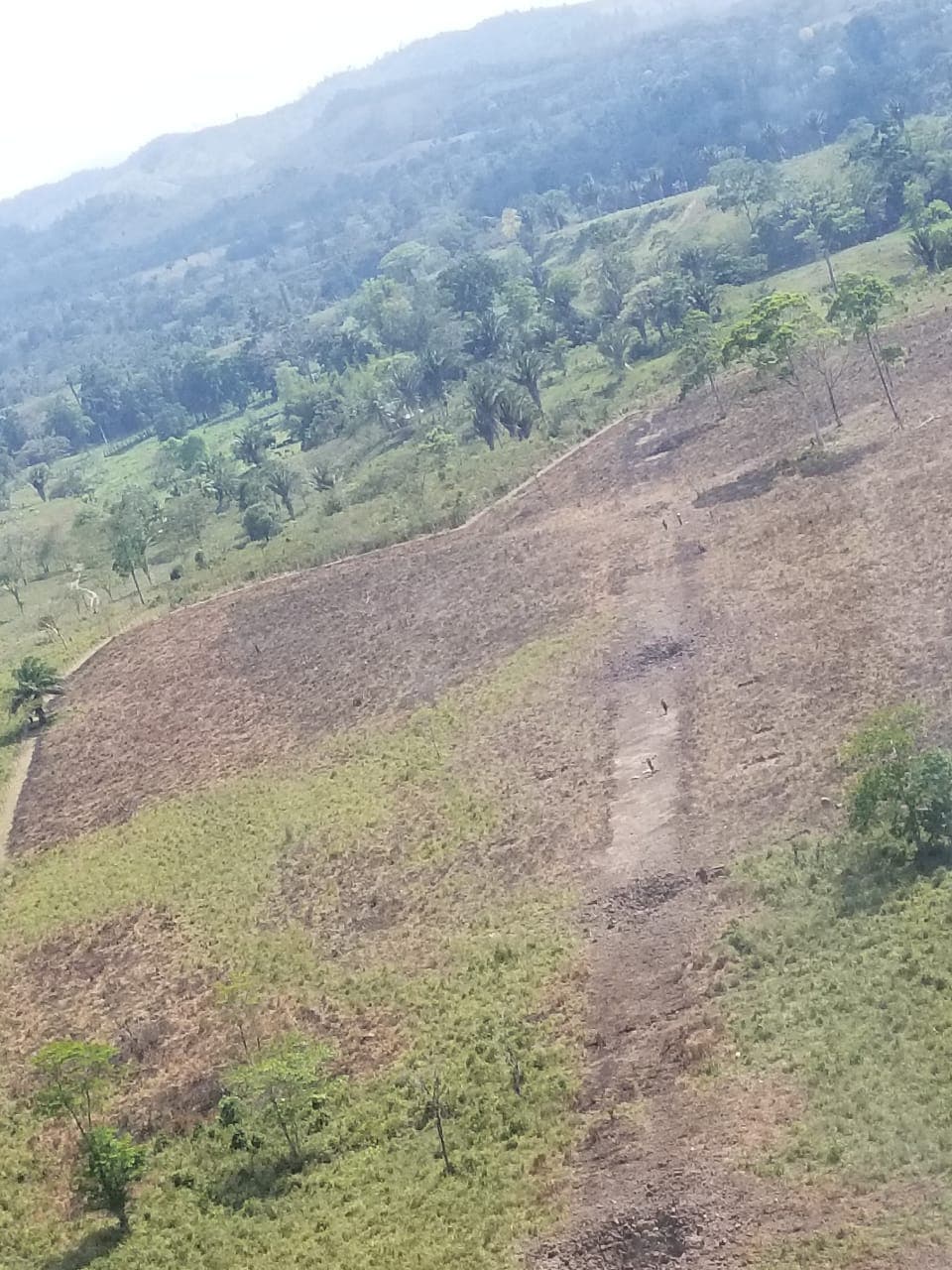 Una area clandestina de aterrizaje conocida como narco pista en el departamento de Gracias a Dios, en el este de Honduras.