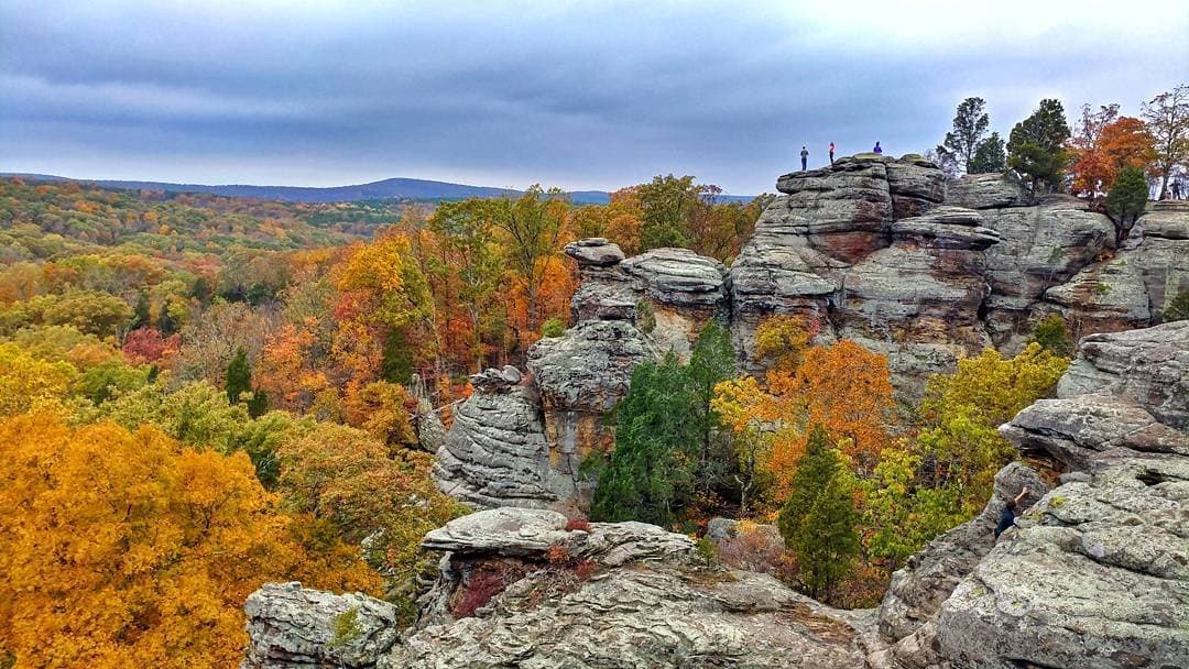 • 
<a href="https://www.enjoyillinois.com/illinois-road-trips/great-pumpkin-country/" target="_blank">Great Pumpkin Country</a>: muestra algunos de los destinos de agroturismo llenos de diversión del centro de Illinois para que las familias disfruten, como Great Pumpkin Patch en Arthur, conocer a los amistosos renos en Hardy's Reindeer Ranch en Rantoul y degustar dulce de azúcar casero en Flesor's Candy Kitchen en Tuscola.