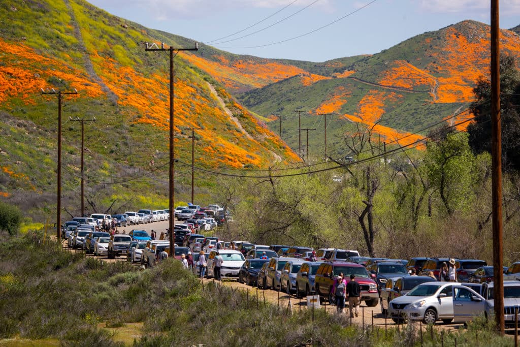 La fila de autos para visitar las cercanías de Lake Elsinore este lunes.