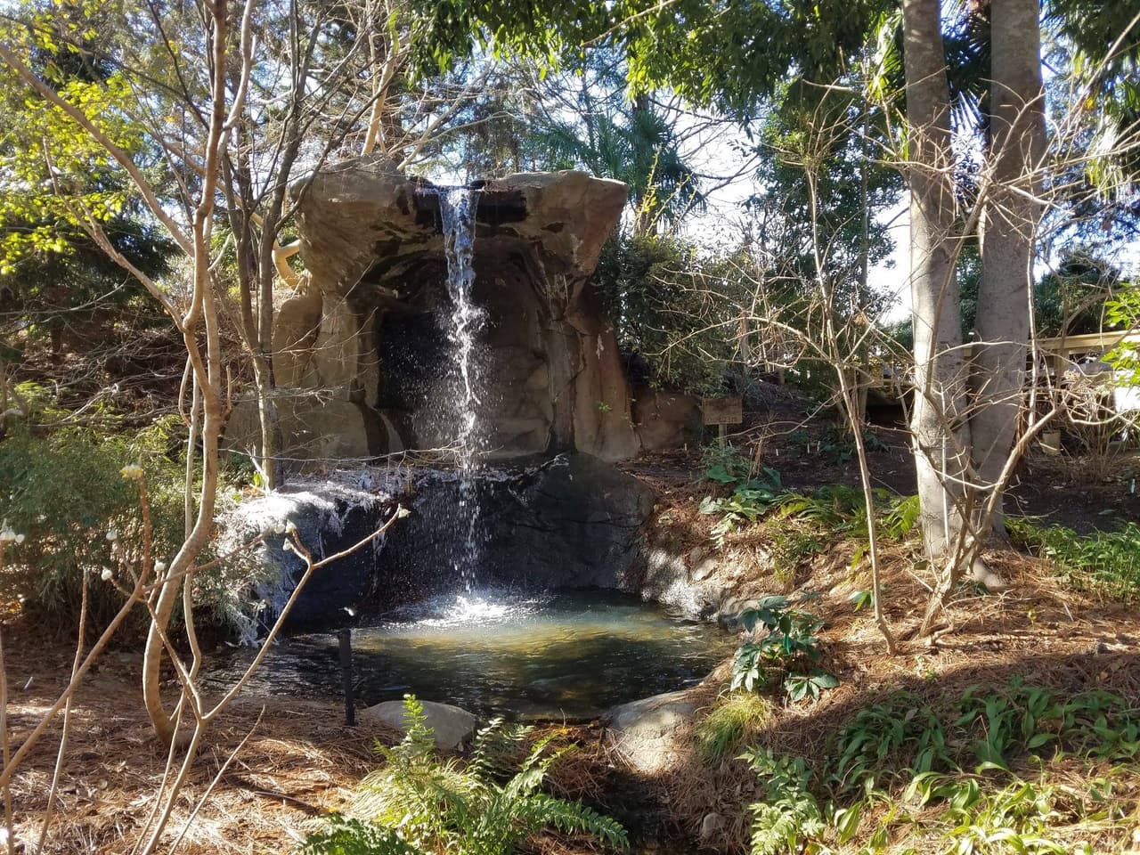 <b>Juniper Level Botanic Garden</b>
<br>
<b>Sitio web</b>: 
<a href="https://www.juniperlevelbotanicgarden.org/">https://www.juniperlevelbotanicgarden.org/</a> 
<br>
<b><a href="https://maps.app.goo.gl/N77ewiPmTYSr7gdx5">Cómo llegar</a> </b>
<br>
<br>Abierto solo dos fines de semana cada temporada, el Jardín Botánico Juniper Level en Raleigh ofrece una visión de plantas raras de todo el mundo en un paisaje artísticamente diseñado. Su campus tiene 28 acres y está lleno de más de 27.000 plantas, incluidos especímenes raros, exóticos e inusuales. Entre sus maravillas se encuentra una encantadora cascada que se extiende sobre rocas y desemboca en un estanque debajo.