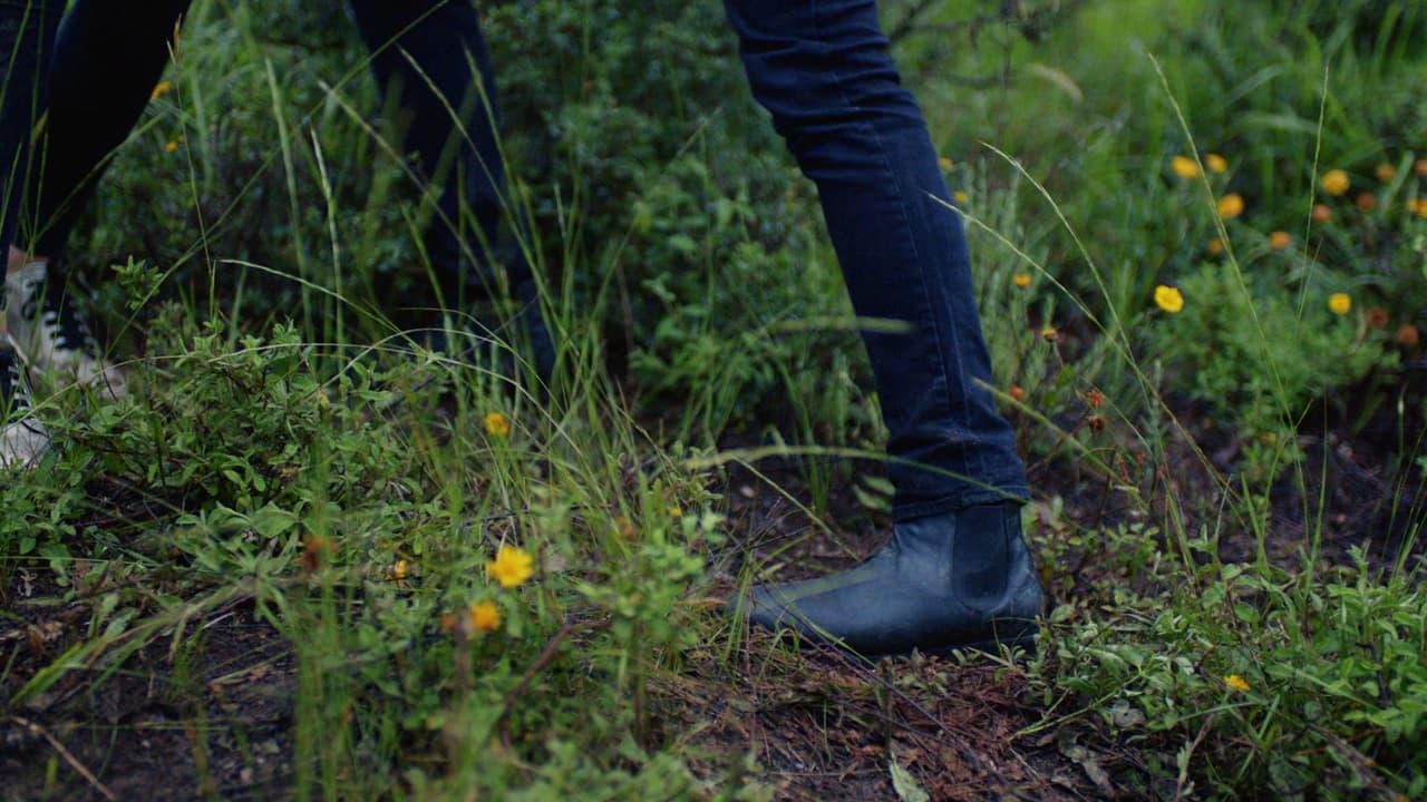 Ahora él y Kemal eran compañeros del mismo infortunio.