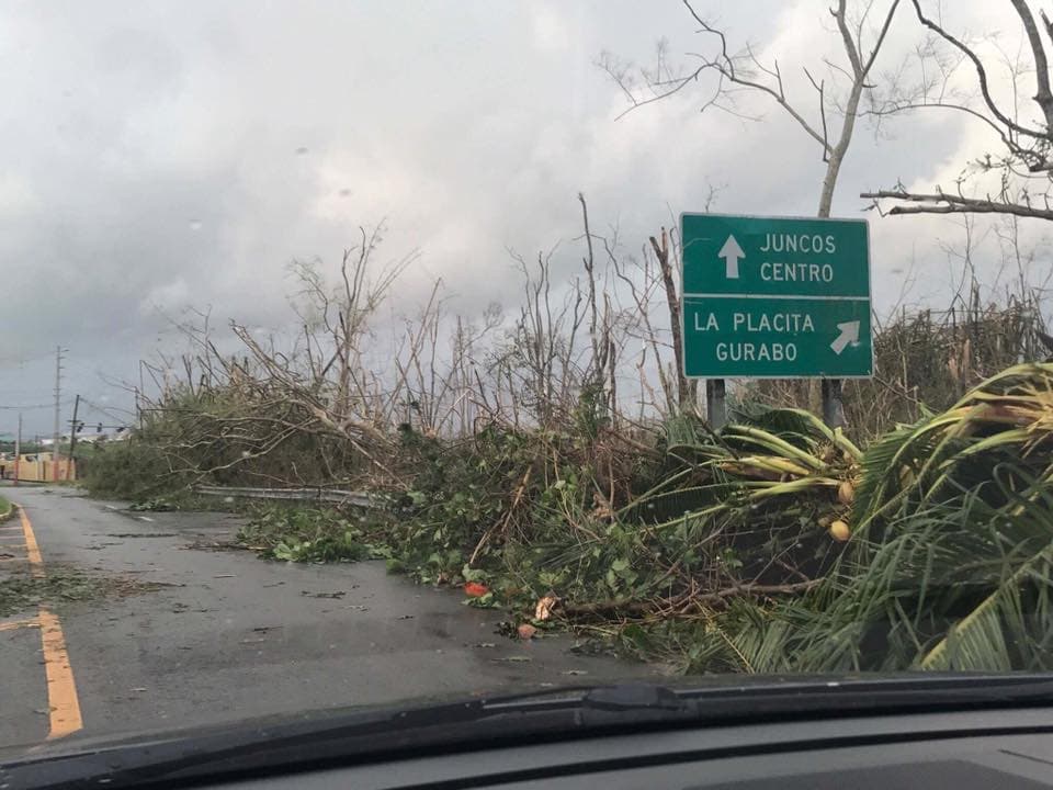 Juncos (Puerto Rico) después del paso del huracán María: últimas noticias