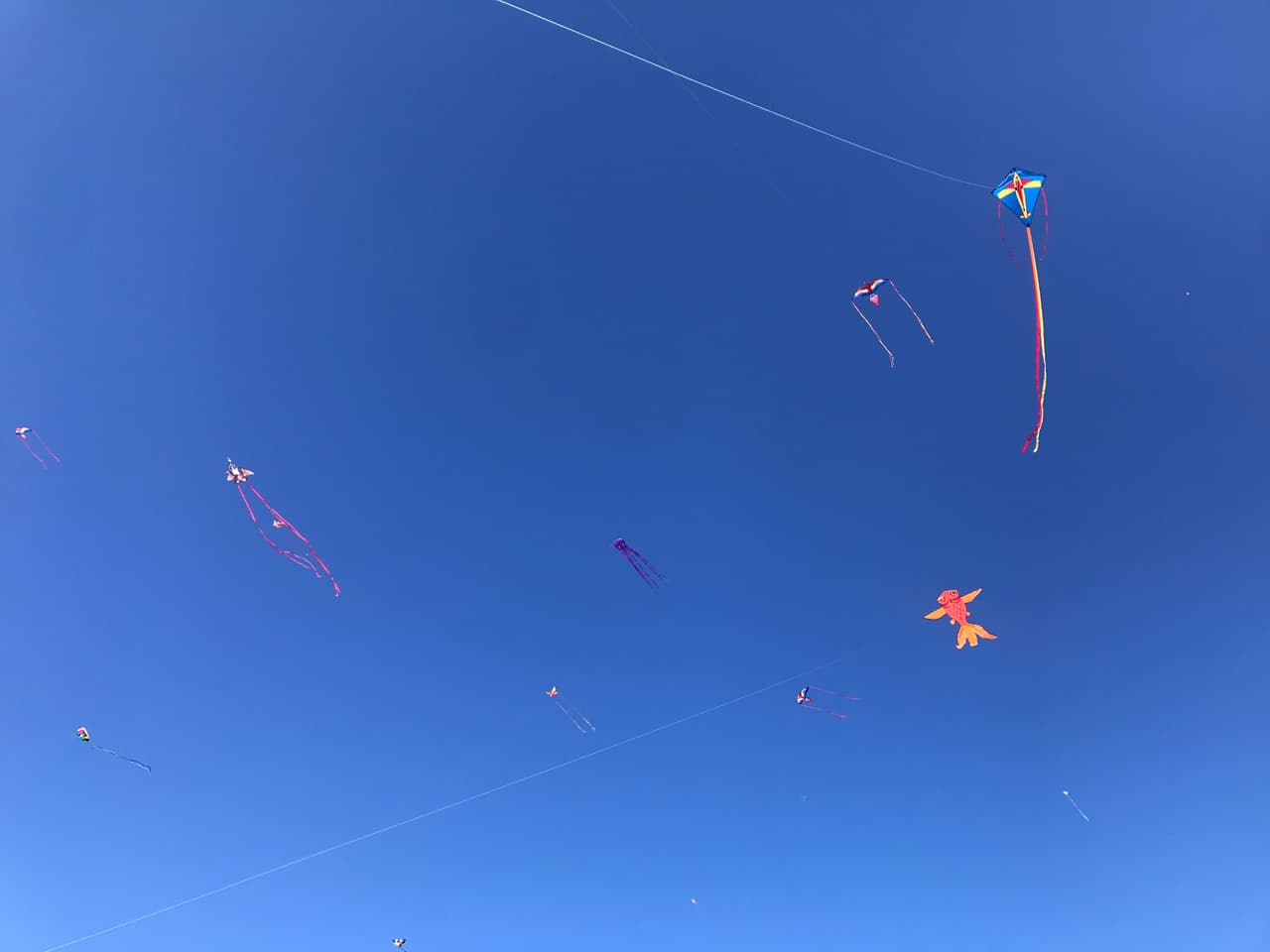 Ya que estos festivales son para todas la edades.