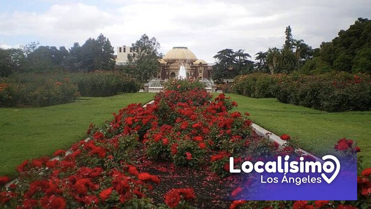 El Expositión Rose Garden es el oasis urbano de Los Ángeles que debes conocer esta primavera. La entrada al jardín es gratis para paseos individuales, pero también es el escenario de celebraciones, sesiones de fotos y hasta grabaciones de películas.
<br>
<b>Dirección:</b> Está ubicado en el 701 State Dr. en Los Angeles, CA 90037.
<br>
<b><a href="https://www.google.com/maps/dir/34.0612726,-118.474717/exposition+rose+garden/@34.0448391,-118.5212452,11z/data=!3m1!4b1!4m9!4m8!1m1!4e1!1m5!1m1!1s0x80c2c7e296808c63:0xb41d8366f7be2fef!2m2!1d-118.2859244!2d34.0173508" target="_blank">Cómo llegar</a></b>
<br>
<b>Precio de entrada</b>: gratis
<br>