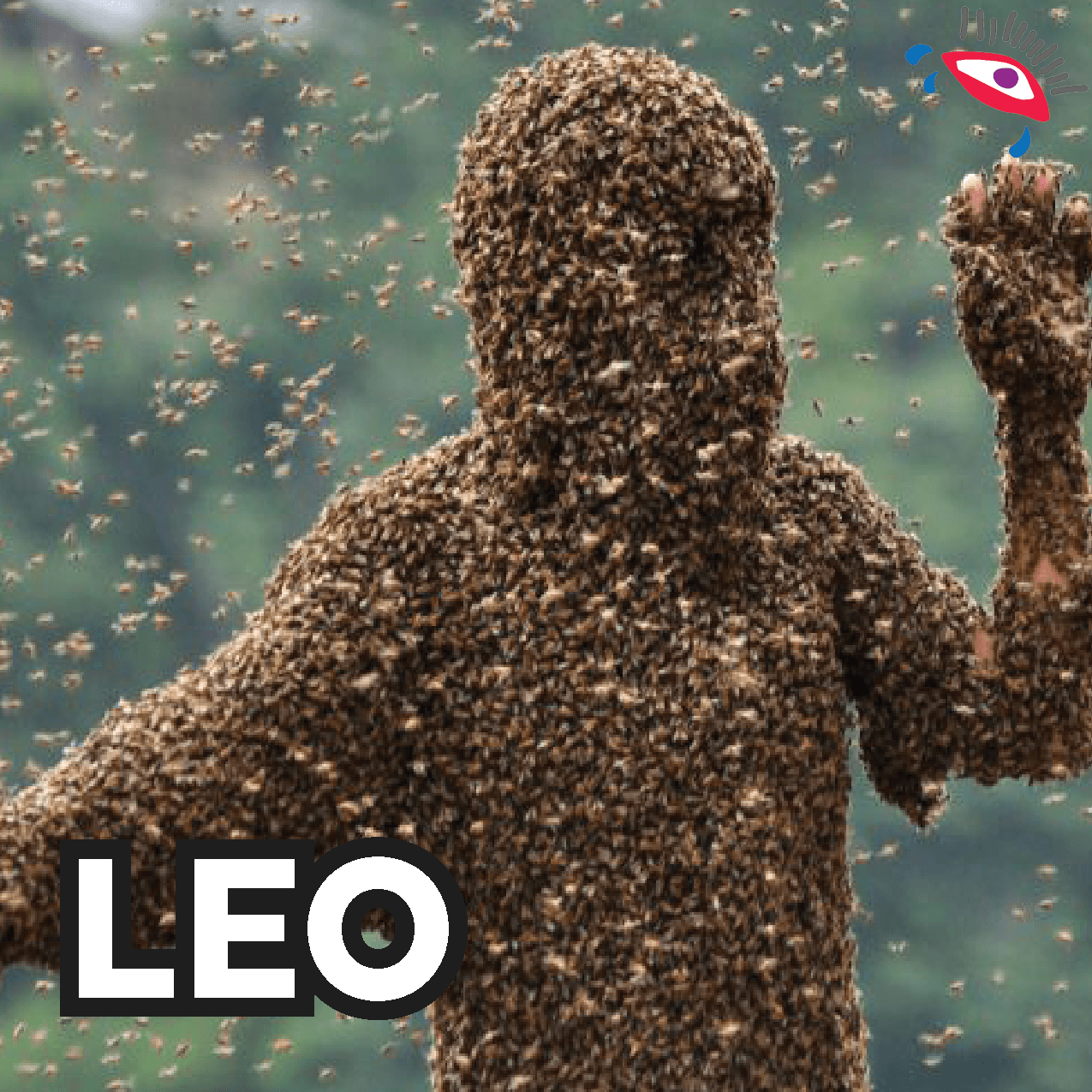 Un ataque de abejas te espera en cada paseo silvestre que hagas, evítalos.