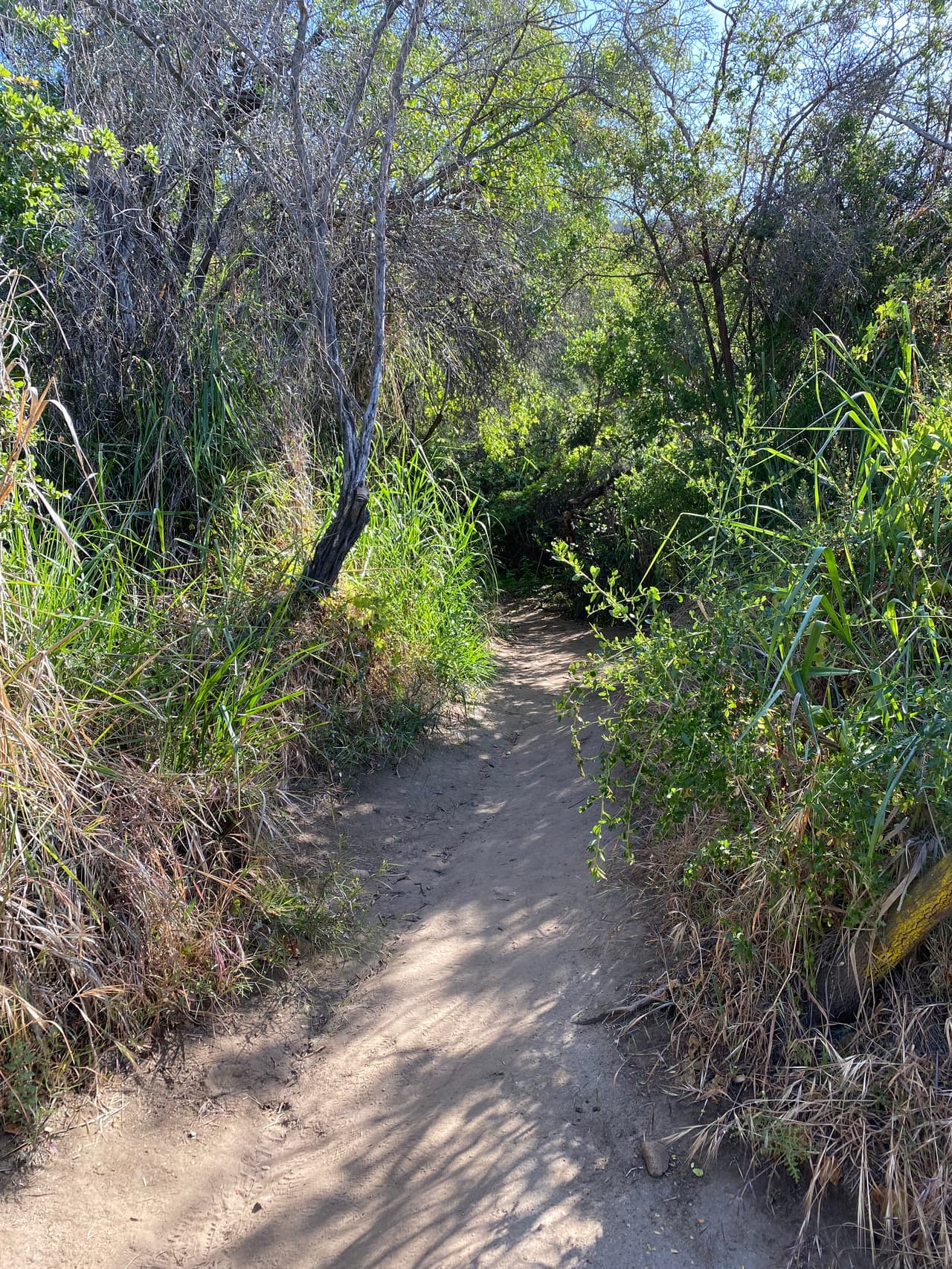 Otra recomendación es seguir el sendero principal. Según los expertos y guardaparques, los principales accidentes y riesgos de encuentros con animales silvestres, como serpientes de cascabel, ocurren en caminos improvisados.