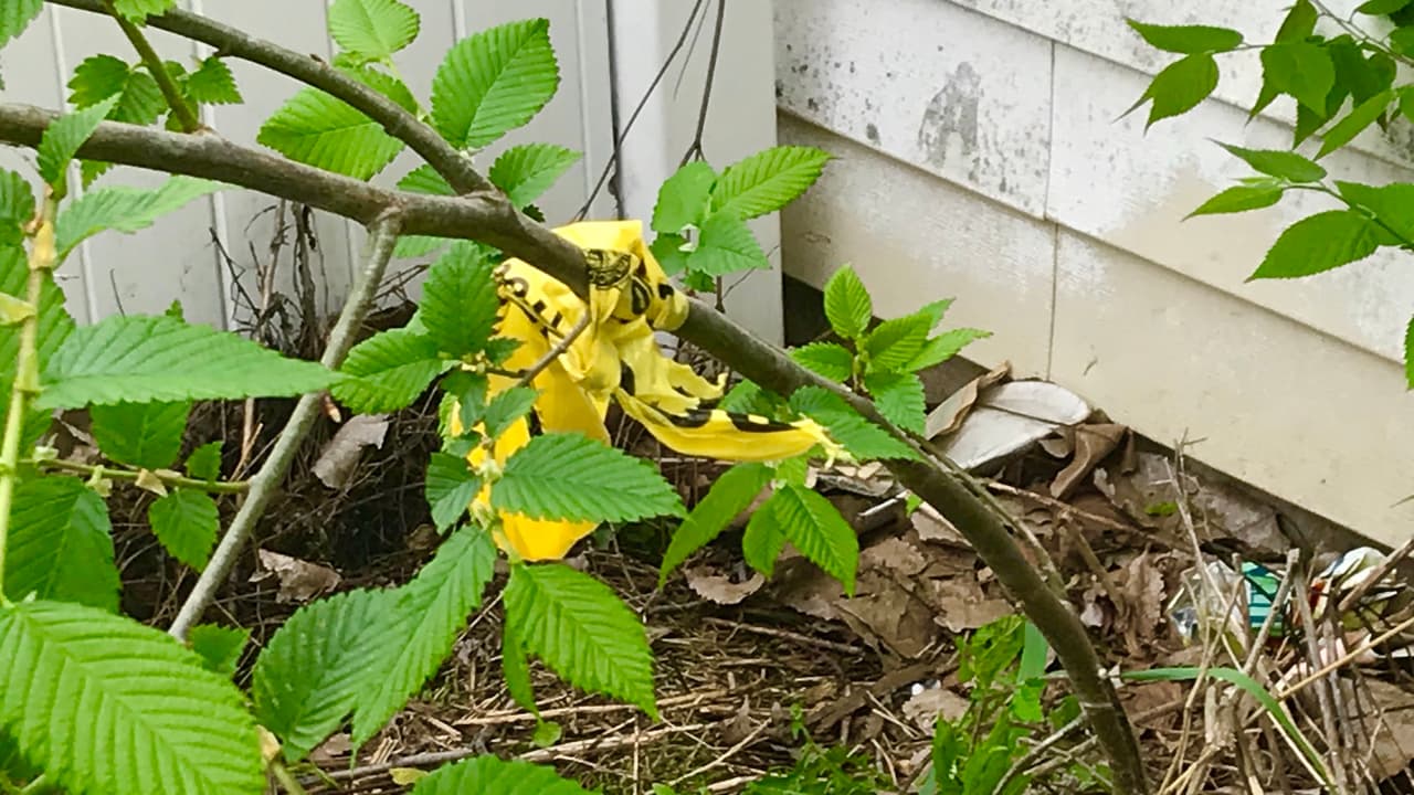 En zonas adyacentes a la propiedad de Scottsdale aún quedaban cintas de la policía.