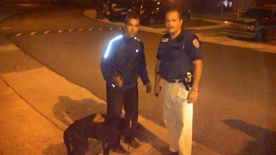 La Policía recibió una llamada notificando que habían tirado un perro desde un tercer piso de uno de los edificios del residencial y lo habían encendido en fuego.