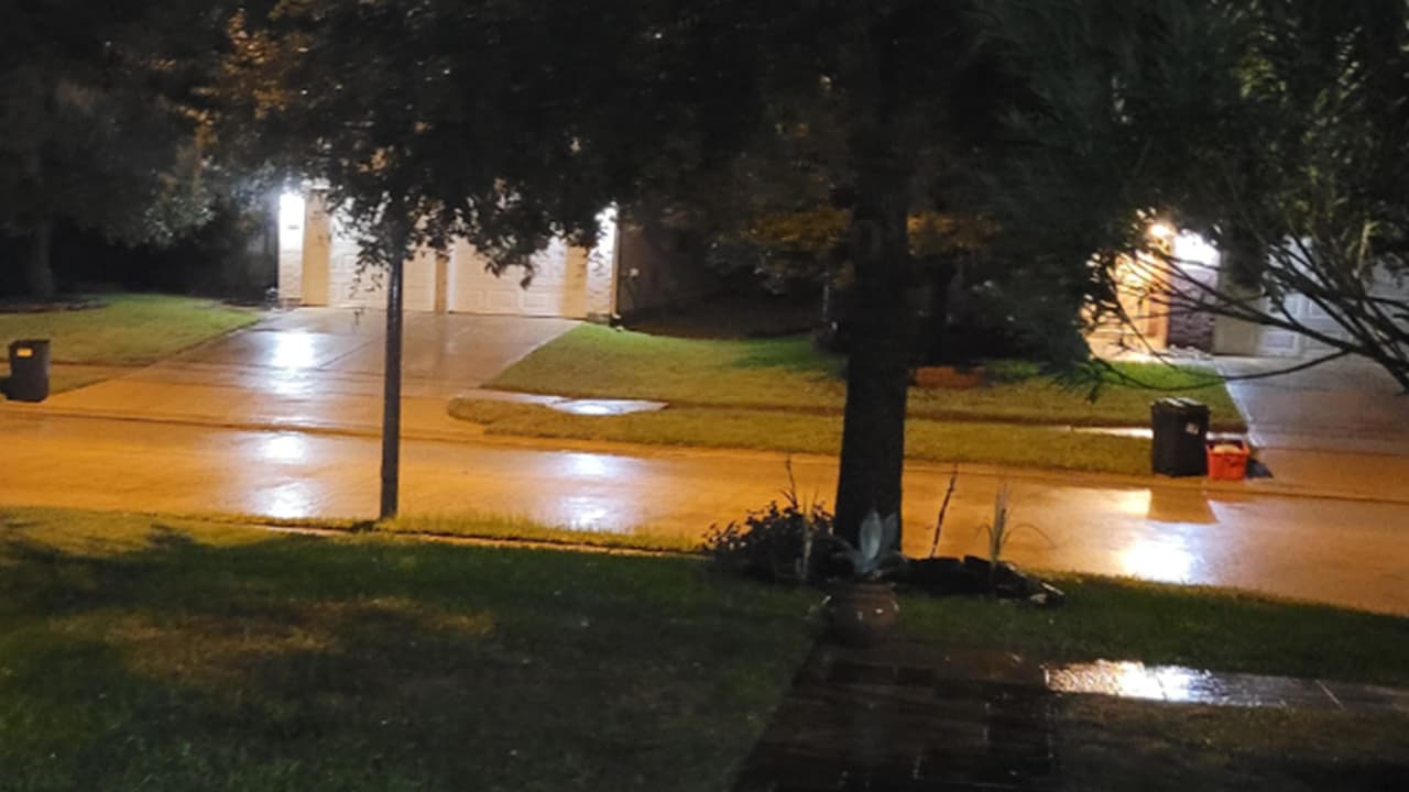 Hever Carreto señala: "Cypress está lloviendo ligeramente"