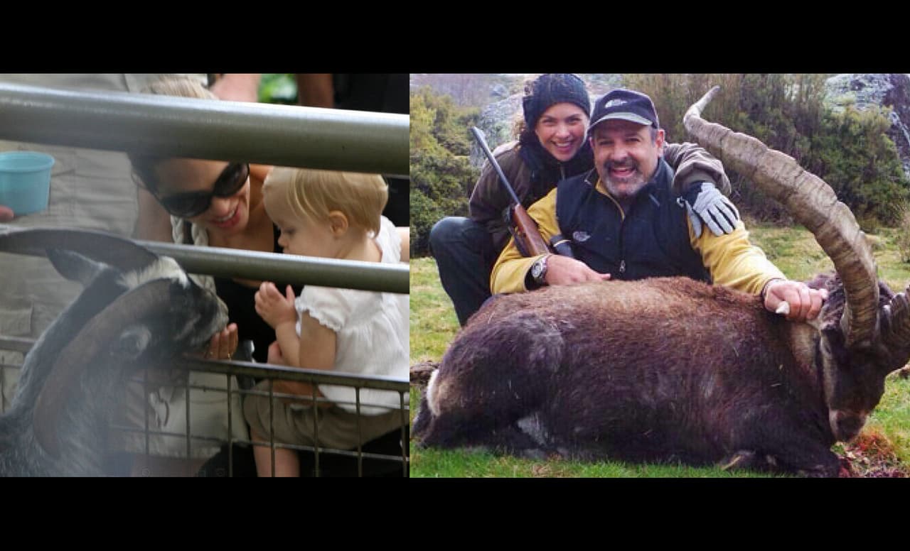 Son felices a lado de los animalitos.