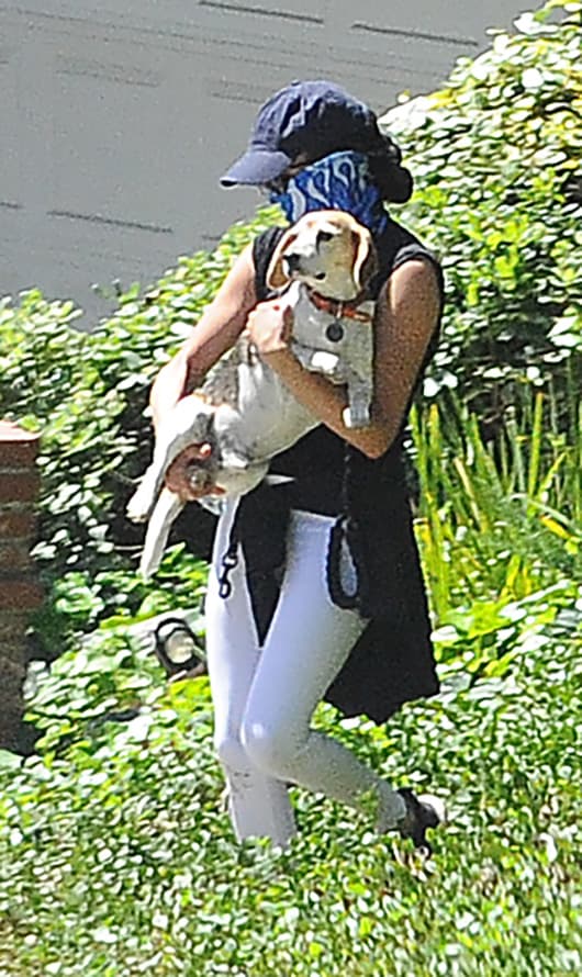 En medio de este aislamiento, Meghan Markle tiene un gran "apoyo" en sus dos perros rescatados, 
<b><a href="https://www.univision.com/famosos/meghan-markle-ya-tiene-en-mente-al-mejor-amigo-de-su-hijo-archie-y-espera-que-sea-leal-fotos" target="_blank">Pula y Guy. </a></b>
<br>