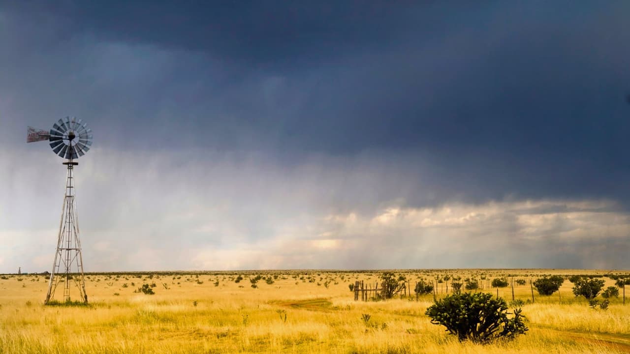 <h3 class="cms-H3-H3">El tiempo es impredecible y extremo </h3>
<br>
<br>
<b>👉🏻 Texas tiene cinco regiones climáticas distintas: desértica, subtropical, semiárida, templada y costera.</b> En el mismo día puedes tener neblina al amanecer, calor seco al mediodía y una tormenta por la tarde. En verano, las temperaturas superan los 104 °F en muchas zonas. En invierno, 
<a href="https://www.univision.com/local/houston-kxln/5-datos-no-conocias-historica-tormenta-invernal-houston-fotos" target="_blank">una tormenta invernal puede dejar sin energía a millones, como ocurrió en febrero de 2021</a>. En primavera, 
<a href="https://www.univision.com/local/dallas-kuvn/servicio-meteorologico-nacional-confirma-tornado-ef-1-gordon-texas" target="_blank">hay tornados frecuentes, sobre todo en el norte y centro del estado. </a>
<br>
<b>🔍Recomendación: </b>Sigue las actualizaciones del tiempo en Univision y prepárate para emergencias. Muchos condados tienen alertas meteorológicas en español.