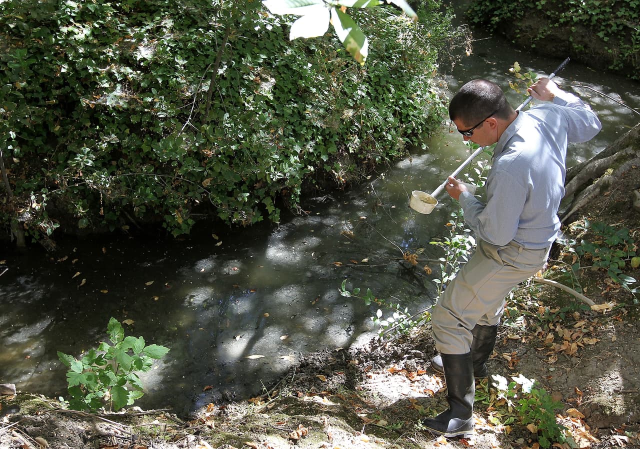 Las enfermedades transmitidas por zancudos como la malaria, Nilo Occidental y Zica, entre otros, están entre las más mortales del mundo.