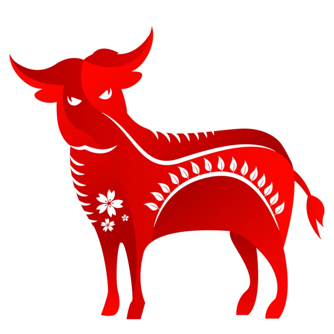 El Buey llega también con nuevas responsabilidades en este Año del Cerdo o del Jabalí que estamos viviendo y se extenderá hasta el novilunio de enero de 2020 con el inicio del nuevo año chino, el Año de la Rata.
<br>