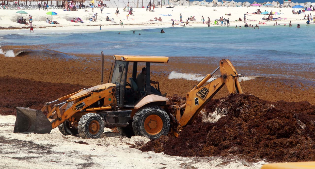 Una playa invadida por el sargazo en el estado de Quintana Roo (México).