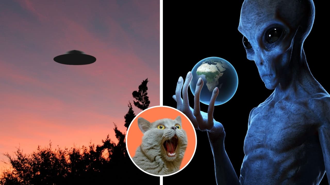 Internautas reportan avistamientos ovni y lo relacionan con Proyecto Blue Beam: te explicamos