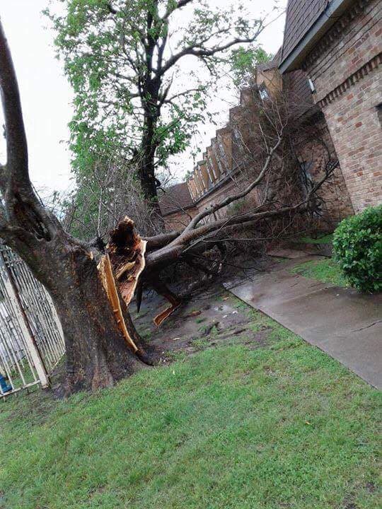 Destrozos causados por el mal tiempo en Houston.