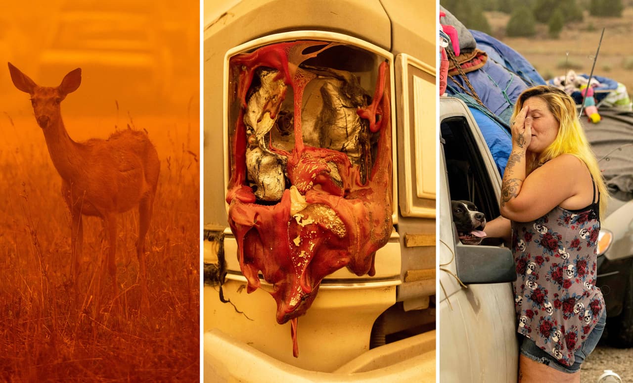 El
<a href="https://www.fire.ca.gov/incidents/2021/7/14/dixie-fire/" target="_blank">incendio Dixie</a> inició el 14 de julio a la medianoche sobre la presa Cresta, el cañón del río Feather, al norte de Sacramento, según información de Cal Fire.