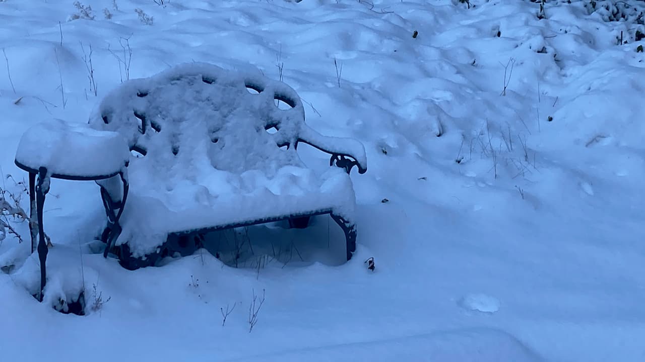 La nieve que cayó durante toda la noche dejó las montañas, carros y caminos completamente blancos. Esta mañana salió el sol y según el Servicio de Meteorología no nevará más este día.