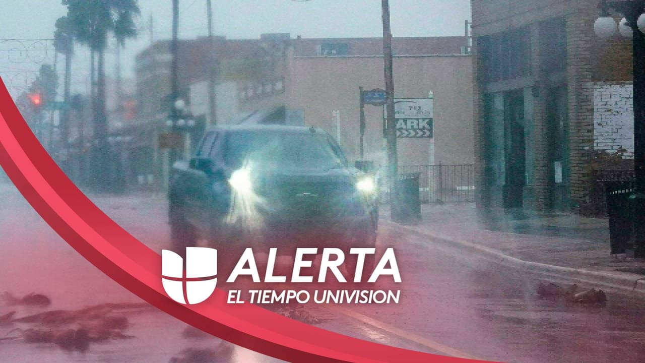 Algunos terrenos ya se han visto saturados por la lluvia, e incluso algunos árboles se han caído producto de las fuertes ráfagas de viento asociadas con el huracán Ian. De hecho, autoridades aseguran que pueden ser más de 30 horas de precipitaciones peligrosas, razón por la cual han pedido a la comunidad refugiarse cuanto antes.