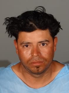 Indigente deambulaba por zonas adineradas para atacar mujeres