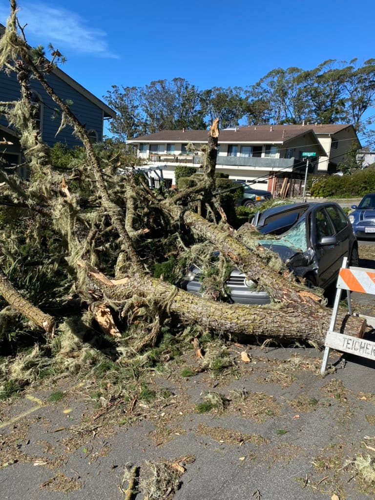 Además de daños materiales en casas y automóviles, los ventarrones han provocado 
<a href="https://pgealerts.alerts.pge.com/outagecenter/" target="_blank">apagones masivos</a> en el Área de la Bahía. La compañía PG&E reportó este sábado más de 30,000 viviendas sin electricidad, la mayoría en el Este de la Bahía.