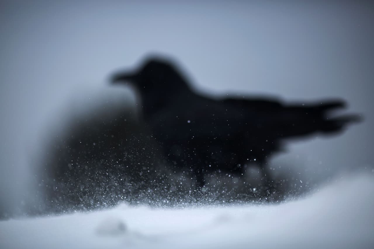La cantidad de nieve continúa aumentando en el poblado de Mammoth Lakes, a 330 millas de San Francisco, tras el paso de varias tormentas a lo largo de California.