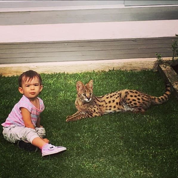 Baby Michelle es una nena muy valiente y disfrutó mucho jugando con el gatito de su tío Mark Tacher.