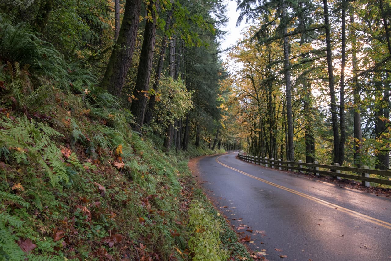 Cascada tras cascada es lo que se puede encontrar a lo largo del Historic Columbia River Highway, Oregon. Durante el trayecto se pueden ver las cataratas Multnomah. Cuenta Ryan que el camino es particularmente estrecho y presenta hermosos túneles y árboles cubiertos de musgo.