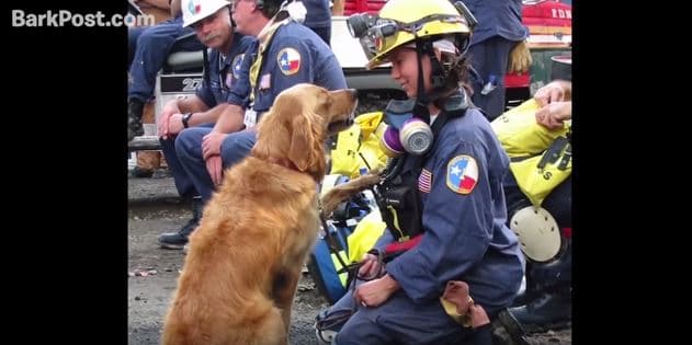Riden honor a heroína canina del 9/11