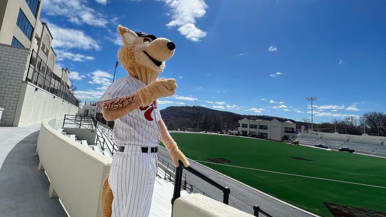 Jackals de Nueva Jersey harán una feria de trabajo en su estadio: cómo aplicar