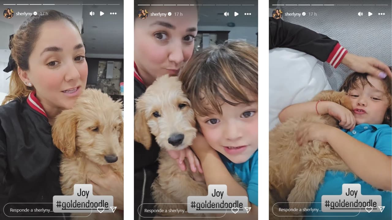 Sherlyn mostró a Joy con André.