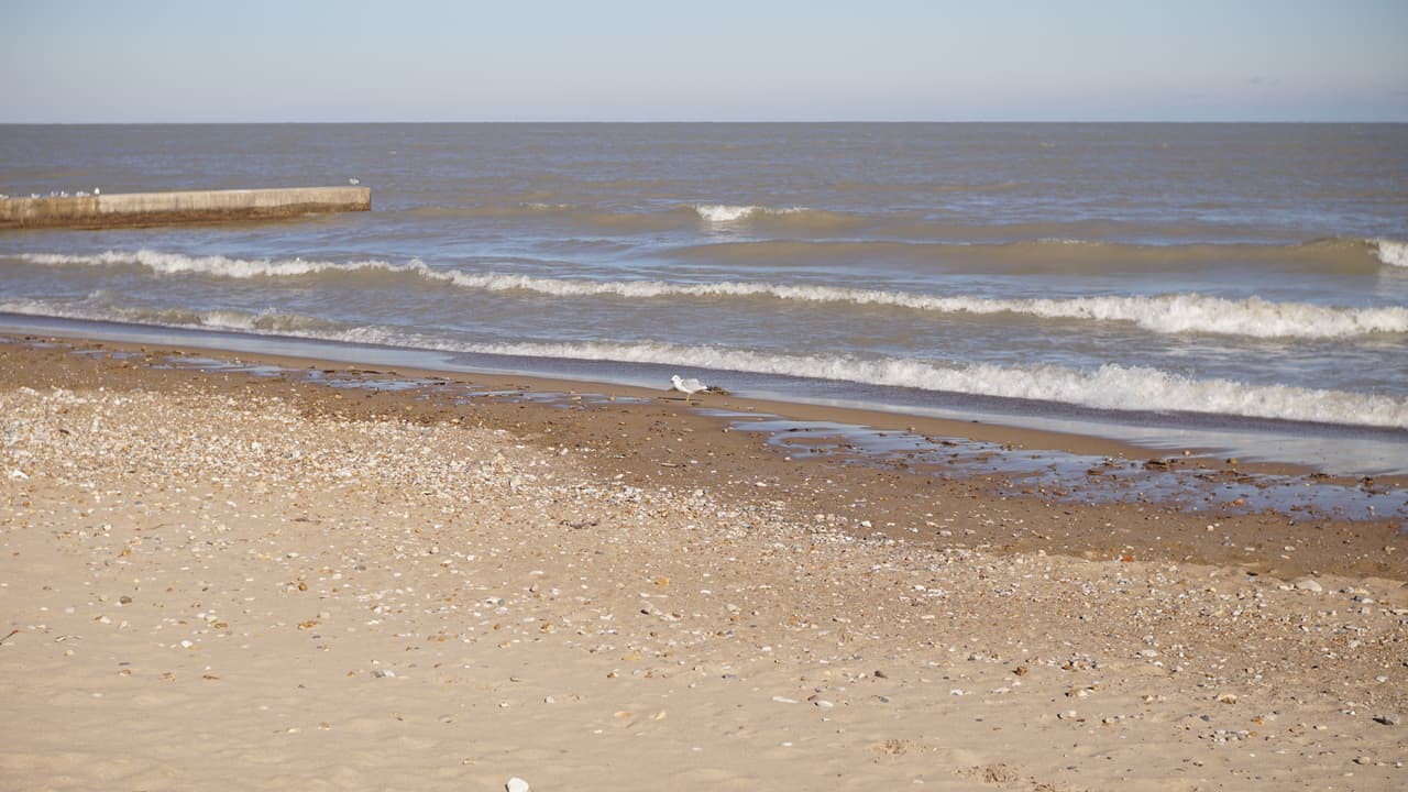De perder estas playas, residentes de Rogers Park no podrán disfrutar de la oferta costera que tiene el vecindario durante los meses de calor en Chicago.