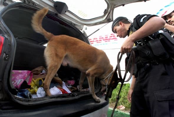 Con respecto a estos países el informe señala que 'la tasa de asesinatos es la más elevada del mundo'.