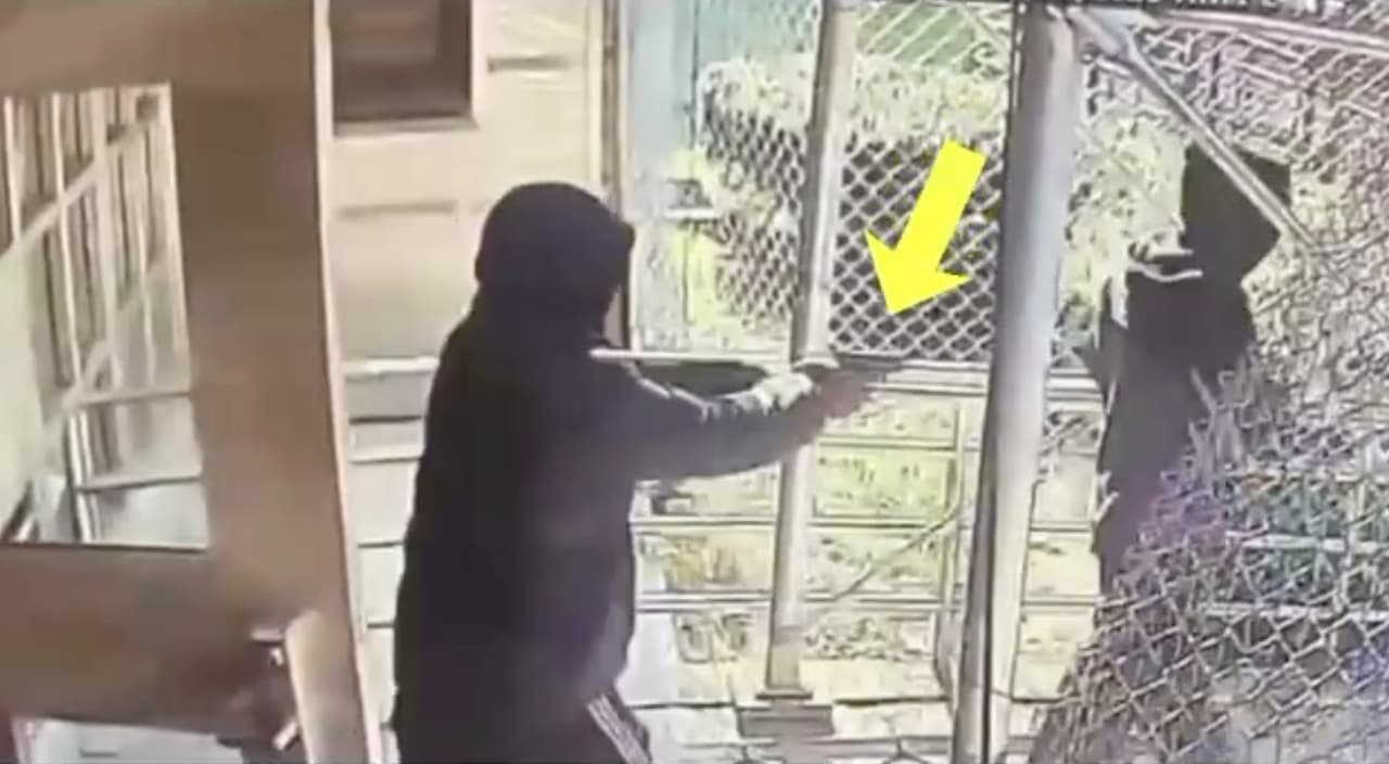 Trabajador de FedEx es baleado por la espalda mientras entrega un paquete en Brooklyn