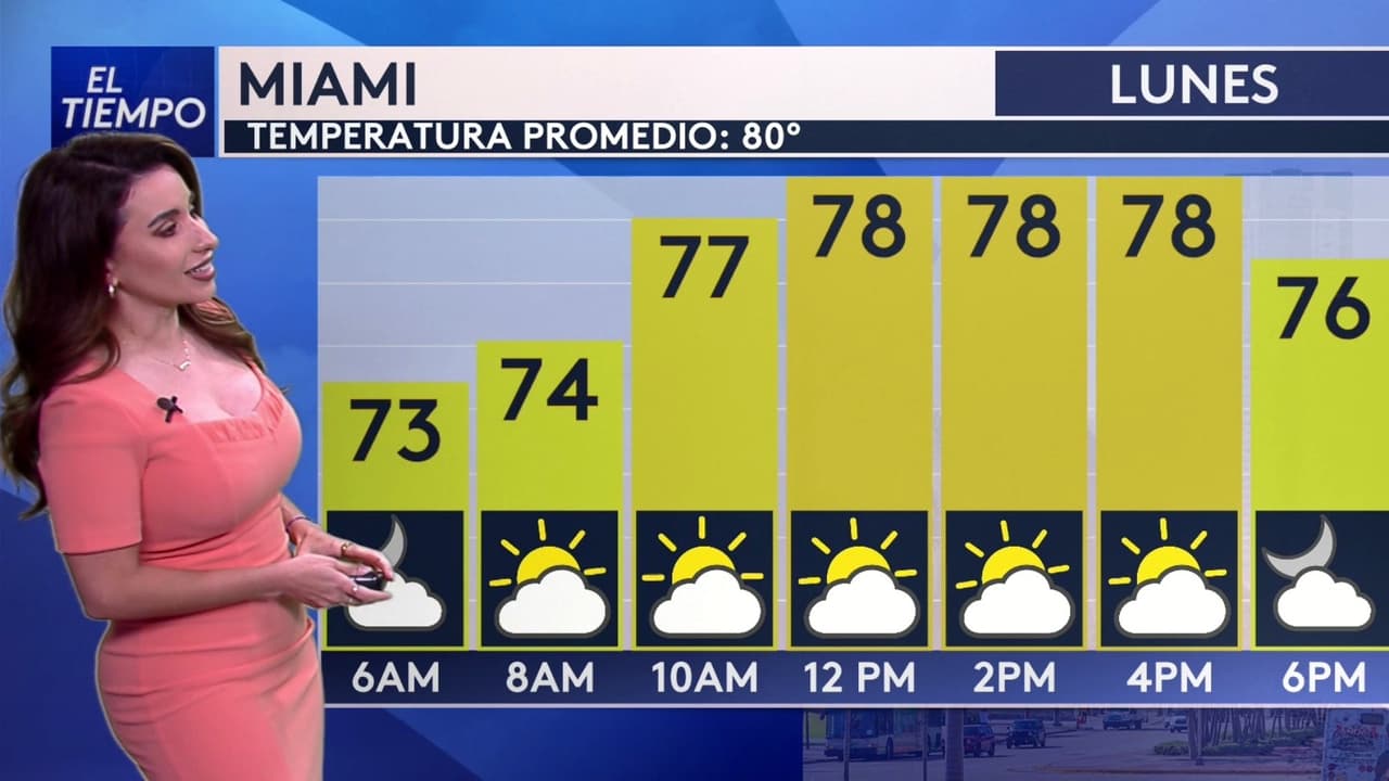 Pronóstico del tiempo hoy en Miami: día frío, baja la temperatura; El termómetro alcanzará 31°F