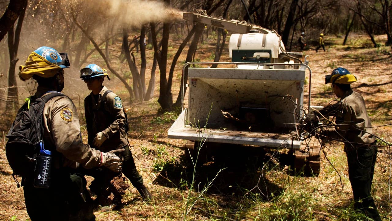 Un trabajador murió tras ser arrastrado de cabeza hacia una trituradora de madera en Virginia