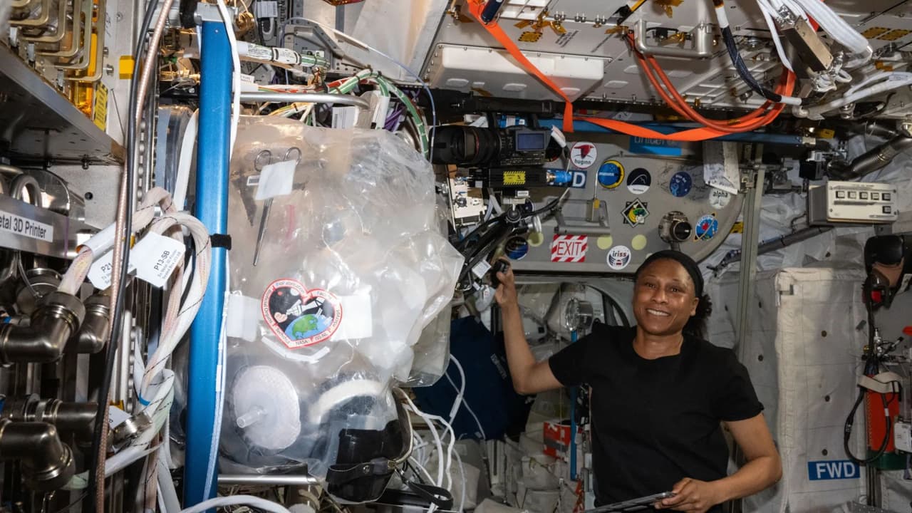 <b>Ignición y extinción de combustibles: </b>Se estudió cómo la temperatura del combustible afecta la inflamabilidad, ayudando a entender el crecimiento del fuego y optimizando técnicas de supresión de incendios.