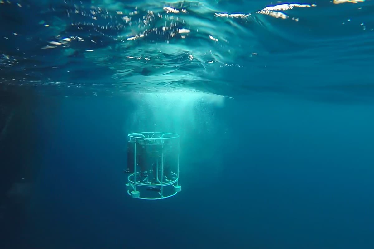 Los impactos pueden provenir de liberación de petróleo por descargas accidentales o ilegales, alteración de los patrones migratorios de mamíferos marinos, aumento del ruido antropogénico y aumento de las emisiones atmosféricas.