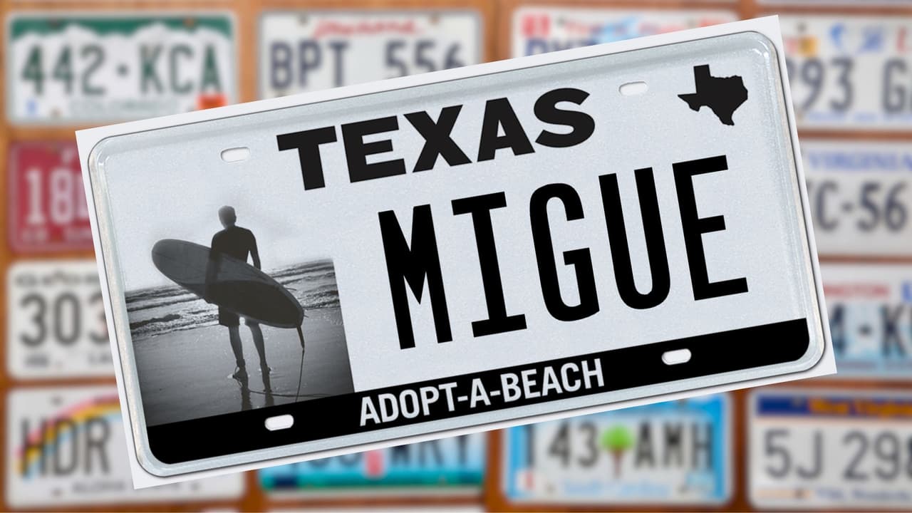 <h3 class="cms-H3-H3">Tipos de placas disponibles</h3>
<br>
<ul>
<li><b>Placas My Plates Select:</b> Diseñadas por el proveedor, permiten personalización total y ofrecen opciones como planes de pago, descuentos por varios años y la posibilidad de participar en subastas.</li>
<li><b>Placas patrocinadas por el estado:</b> Creadas por legislación o el TxDMV, apoyan programas sin fines de lucro y solo pueden adquirirse con una vigencia de un año.</li>
</ul>