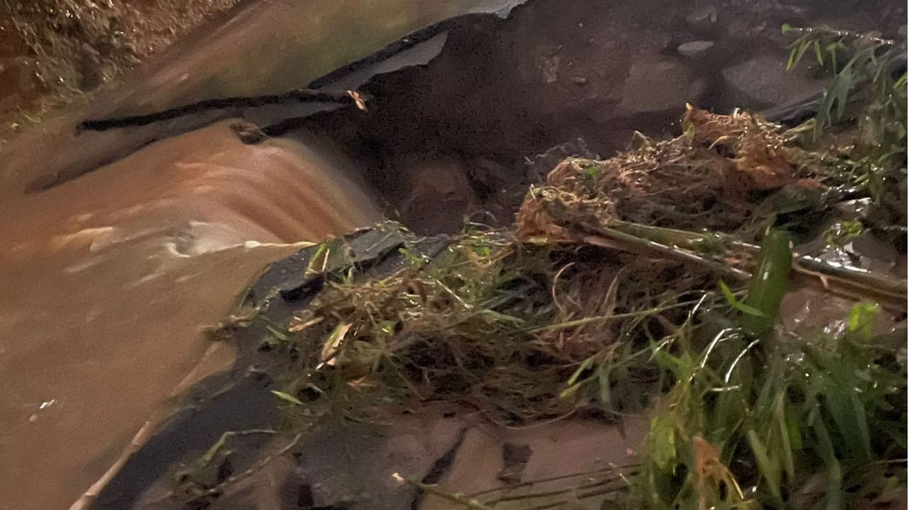 Mientras, algunas de las vías que están cerradas por inundaciones o crecidas de los ríos son la PR-2 en ambas direcciones de Manatí hacia Barceloneta desde el kilómetro 52 al 55, la PR-681 hasta la PR-684, en el sector La Boca en Barceloneta.