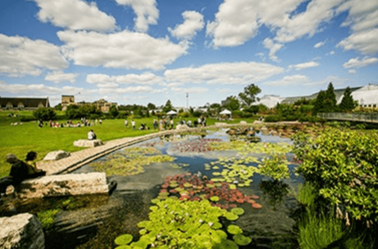 <b>Misión del parque</b>
<br>"Ya sea la comida que comemos o el oxígeno que respiramos, estamos conectados a las plantas cada segundo de cada día. La misión del Garfield Park Conservatory es cambiar vidas a través del poder de la naturaleza", dice la plataforma del consevatorio.