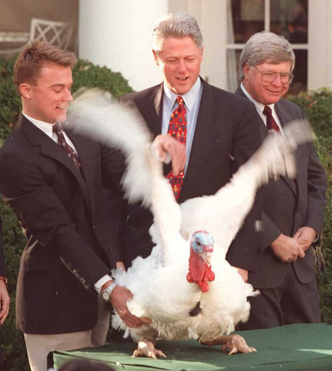 En 1995 el presidente
<b>Bill Clinton</b> indultó a 'Thomas Jefferson’', el pavo donado a la Casa Blanca por la Federación Nacional del Pavo ese año.