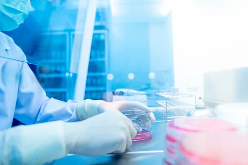 Hays CISD confirma que una persona que dio positivo a coronavirus estuvo en uno de sus planteles