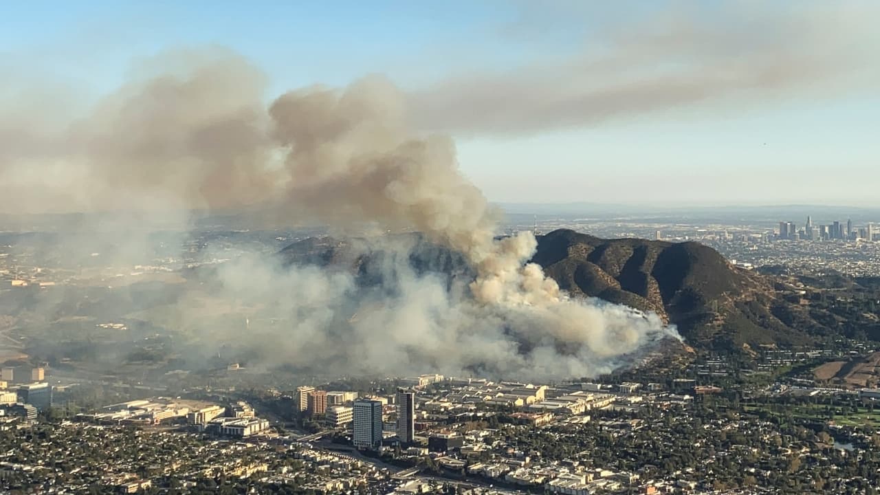 Controlado pero no contenido: incendio Barham continúa activo en Hollywood Hills