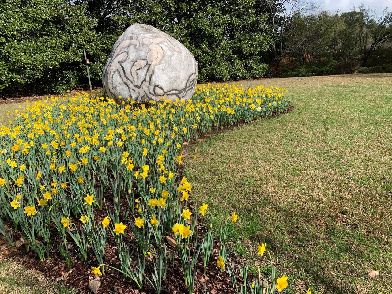 <b><a href="https://smithgilbertgardens.com/">Smith-Gilbert Gardens</a></b>: Smith-Gilbert Gardens se compone de serenos senderos boscosos que exhiben más de 3000 especies a solo minutos de Kennesaw Mountain, ubicada a 25 millas al norte de Atlanta. Plantaciones únicas y elementos fascinantes como The Rose Garden, Bonsai Exhibit y el área de la cascada deleitarán los sentidos en este hábitat designado para la vida silvestre.