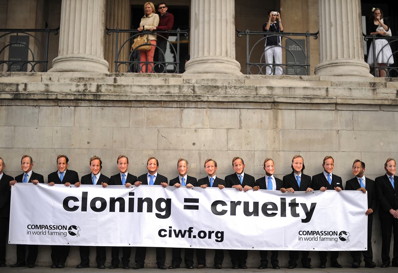 Miembros de Compassion in World Farming manifiestan en Londres contra la clonación de animales.