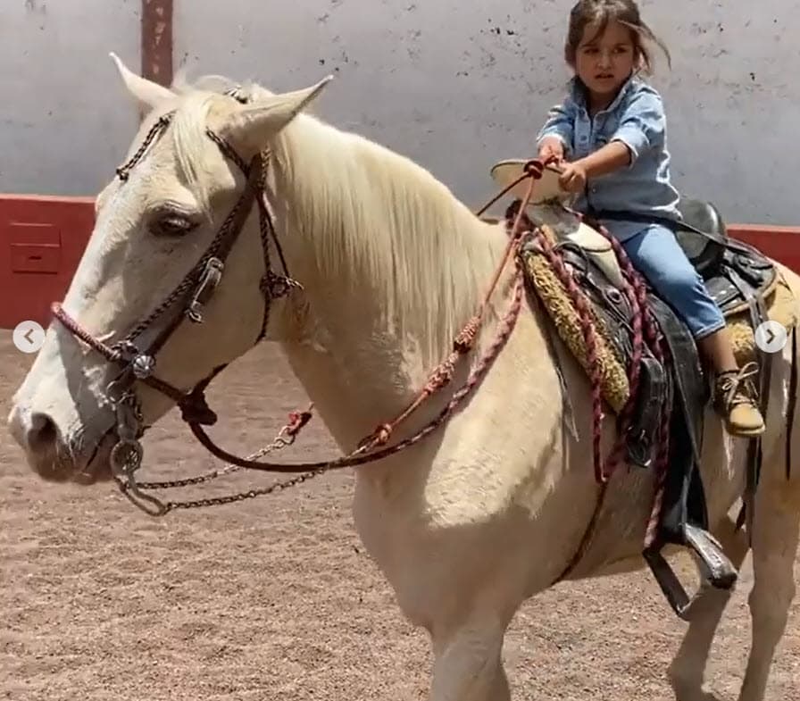 Para Renaud, el que Marcelo la haya visto montar "fue significativo" en esos "momentos de terror": "Para 
<b>que vea que todo pasa</b> y se puede superar". 
<br>