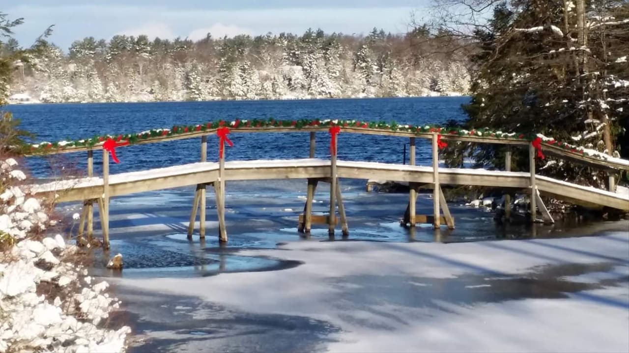 <b>Eagles Mere</b>. Eagles Mere parece una imagen de postal, especialmente cuando está cubierta de nieve. Disfruta de una larga tradición en el pueblo en Eagles Mere Toboggan donde bajarás una colina en un tobogán. Luego, disfruta de una taza de chocolate caliente antes de deslizarte hacia abajo nuevamente.
<br>
<br>
<a href="https://goo.gl/maps/mbMD3Rk1ALgiwEVD6"><b>Cómo llegar</b></a>